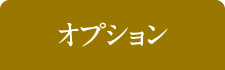 オプション
