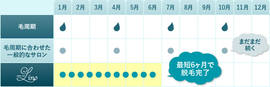 最短6ヶ月で脱毛完了