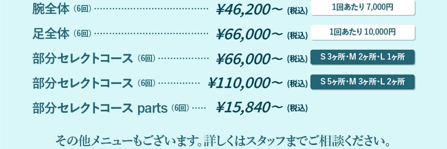 腕全体 （6回） ¥42,000（税別）＜1回あたり 7,000円＞
            足全体 （6回） ¥60,000（税別）＜1回あたり 10,000円＞
            部分セレクトコース （6回） ¥60,000（税別）＜S 3ヶ所・M 2ヶ所・L 1ヶ所＞
            部分セレクトコース （6回） ¥100,000（税別）＜S 5ヶ所・M 3ヶ所・L 2ヶ所＞
            部分セレクトコース parts （6回） ¥14,400（税別）
            その他メニューもございます。詳しくはスタッフまでご相談ください。