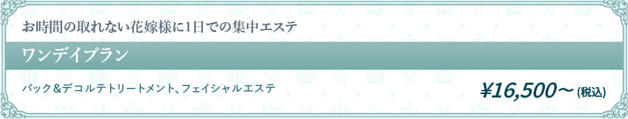 お時間の取れない花嫁様に1日での集中エステ
          ワンデイプラン ¥15,000（税別）
          バック＆デコルテトリートメント、フェイシャルエステ