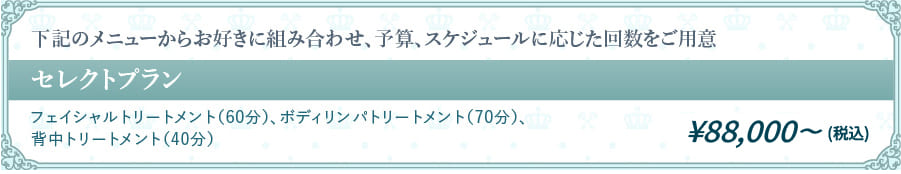 下記のメニューからお好きに組み合わせ、予算、スケジュールに応じた回数をご用意
          セレクトプラン ¥80,000（税別）
          フェイシャルトリートメント（60分）、ボディリンパトリートメント（70分）、背中トリートメント（40分）