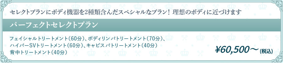 セレクトプランにボディ機器を2種類含んだスペシャルなプラン！ 理想のボディに近づけます
          パーフェクトセレクトプラン ¥100,000〜（税別）
          フェイシャルトリートメント（60分）、ボディリンパトリートメント（70分）、ハイパーSVトリートメント（60分）、キャビスパトリートメント（40分）背中トリートメント（40分）